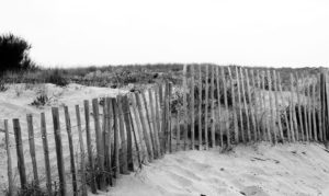 chantal-dupetit-artiste-peintre-photographie-exterieur-plage-bois-barriere