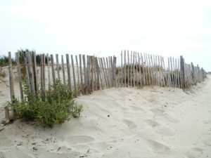 chantal-dupetit-artiste-peintre-photographie-exterieur-plage-verdure-barriere-bois